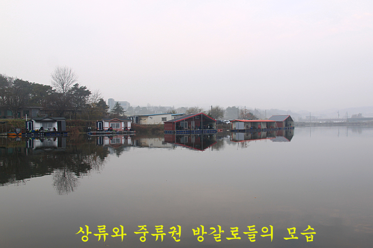 005aea3471feca152ba1a9ef3558f122_1637483158_9247.jpg