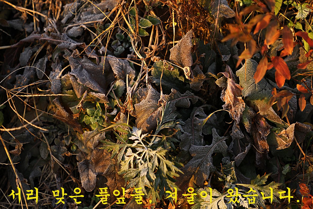 031272a3e072c4637252398484c54fc2_1669513957_3839.jpg 031272a3e072c4637252398484c54fc2_1669513957_3839.jpg
