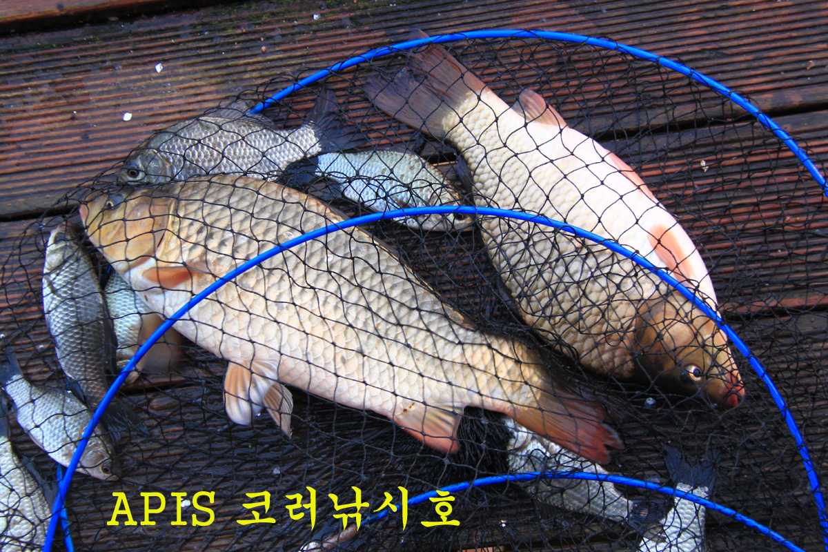 206eebbfb57c5df8be52b5c3be98007a_1635676702_6336.jpg