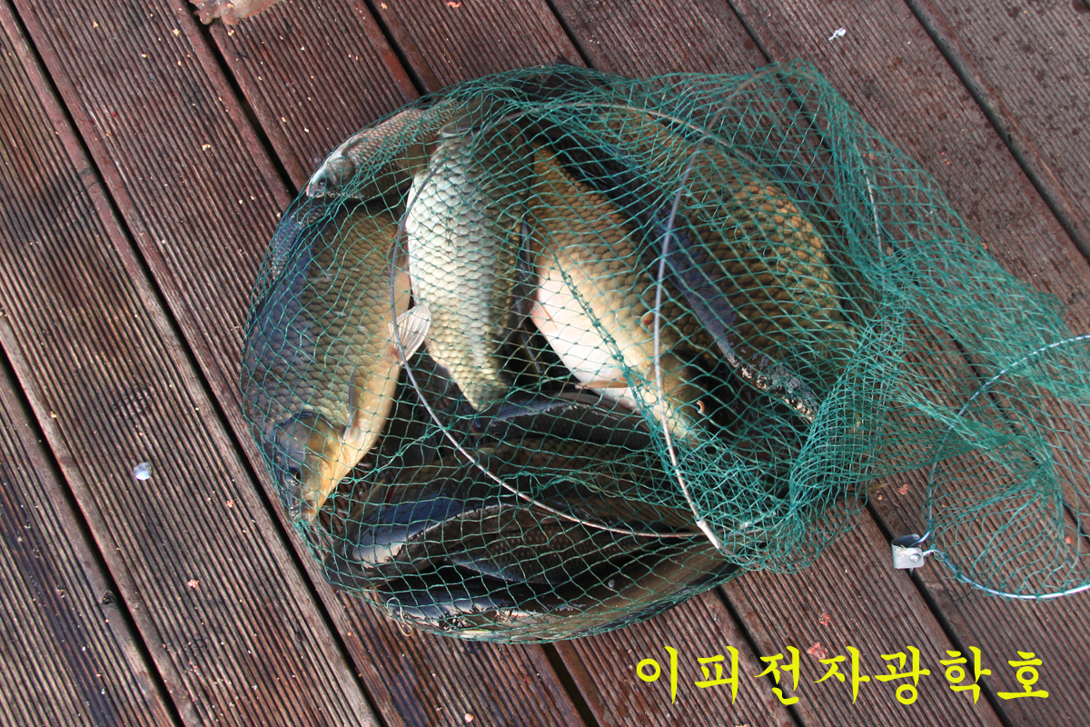 206eebbfb57c5df8be52b5c3be98007a_1635676716_4005.jpg