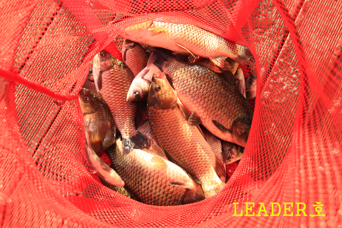 23208aef202caec37ca6f5f46df038c2_1632034983_0599.jpg