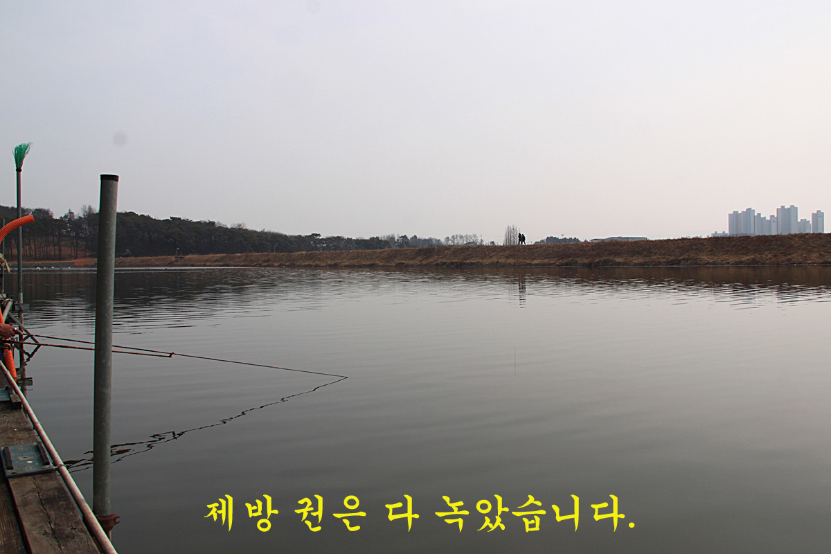 2d46c8a801cc653e925247c78ff189ef_1644733090_6973.jpg