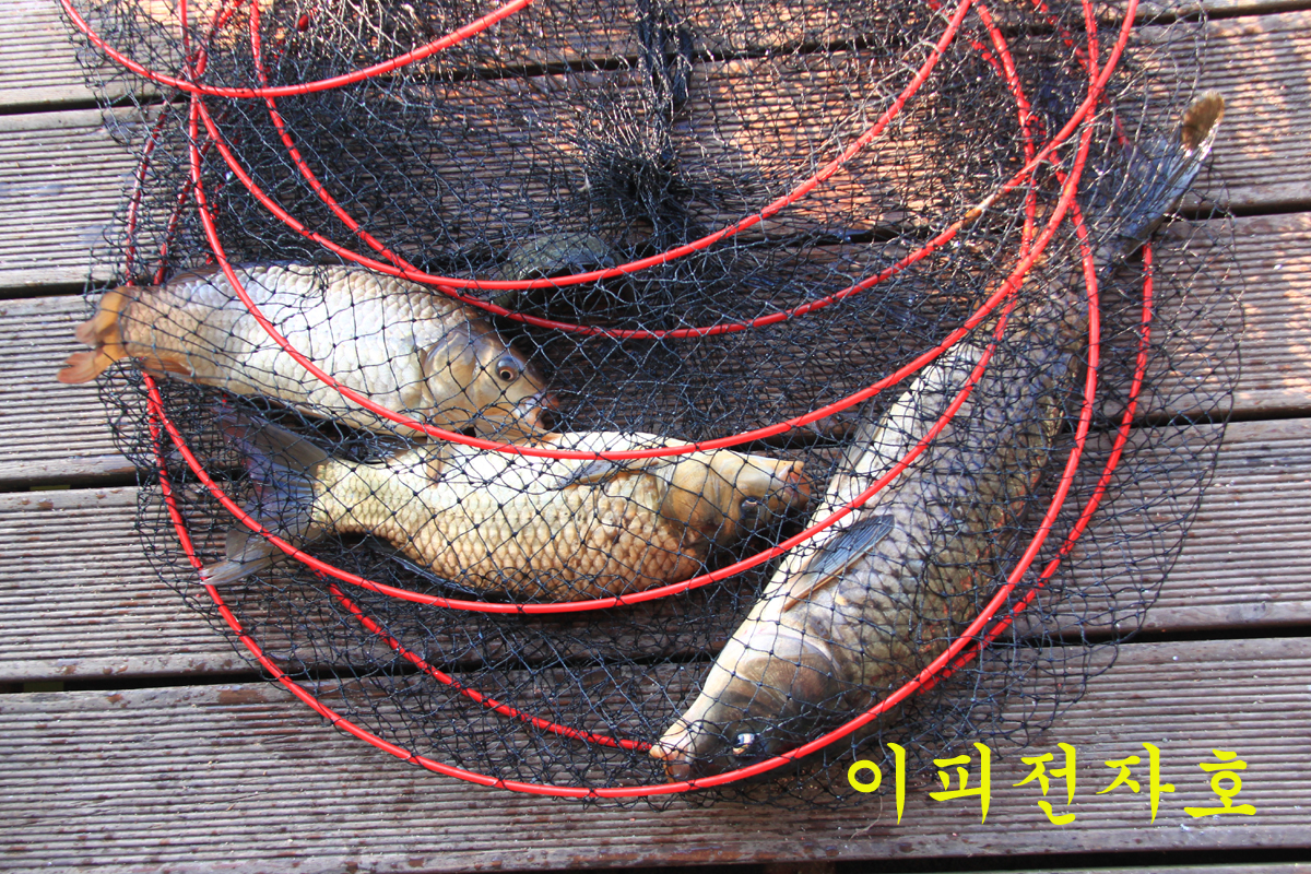 3320546cb8846ab96d48c6964e9145d9_1648968856_814.jpg