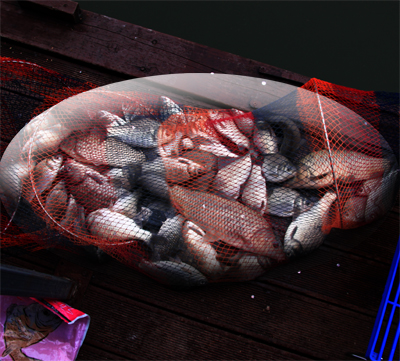 3d721e86ffec4875916813bb4b49ddc7.jpg