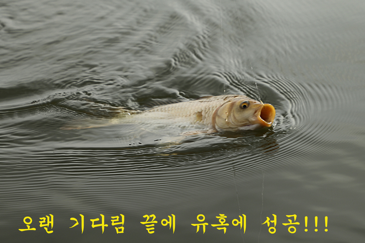 443a78bd3261c0368eab395f20c7bf9d_1674464795_6953.jpg