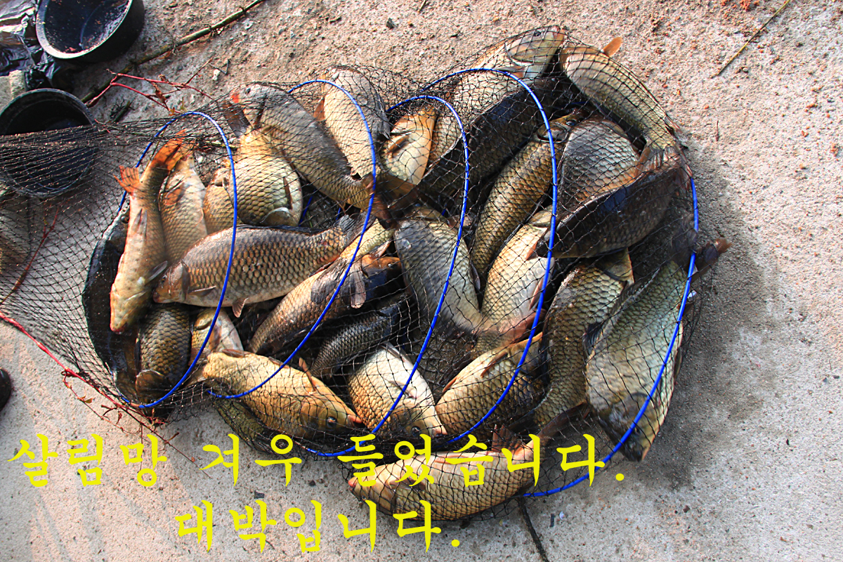 5206da0bfcccc3bec00805e76ceecb88_1666506724_8207.jpg