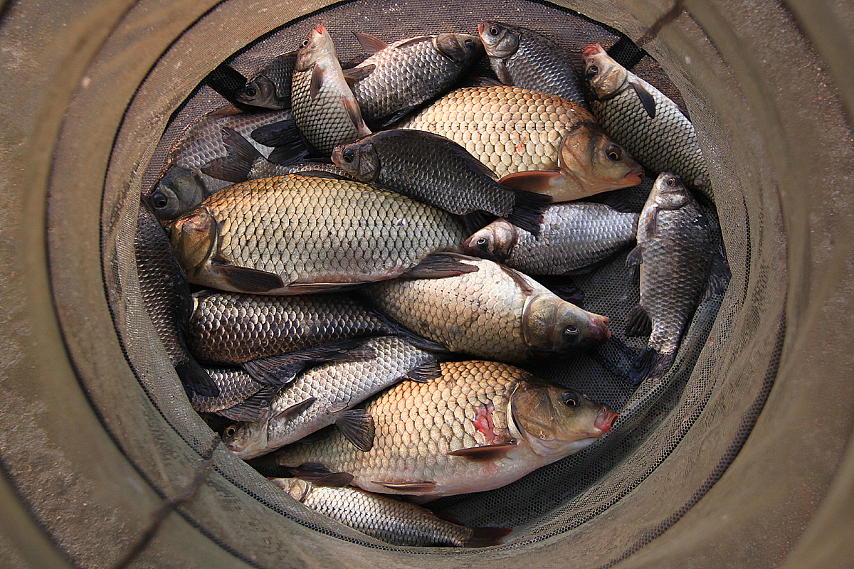 5ceb4bb8cab7dd38368f6e95261d7238_1636865172_8805.jpg
