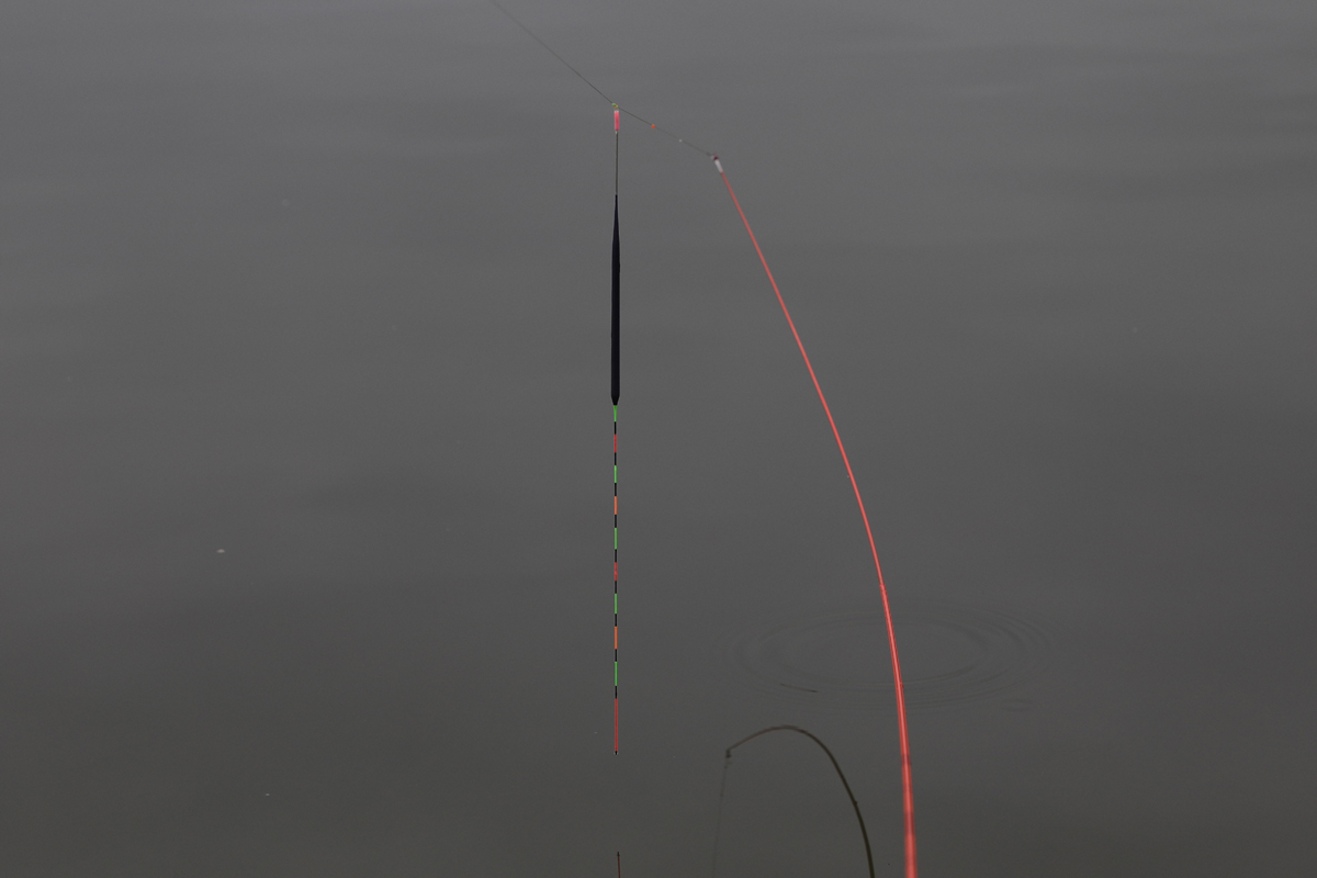 5ec4fd0fc67c81592259e293b155101b_1615116211_3948.jpg