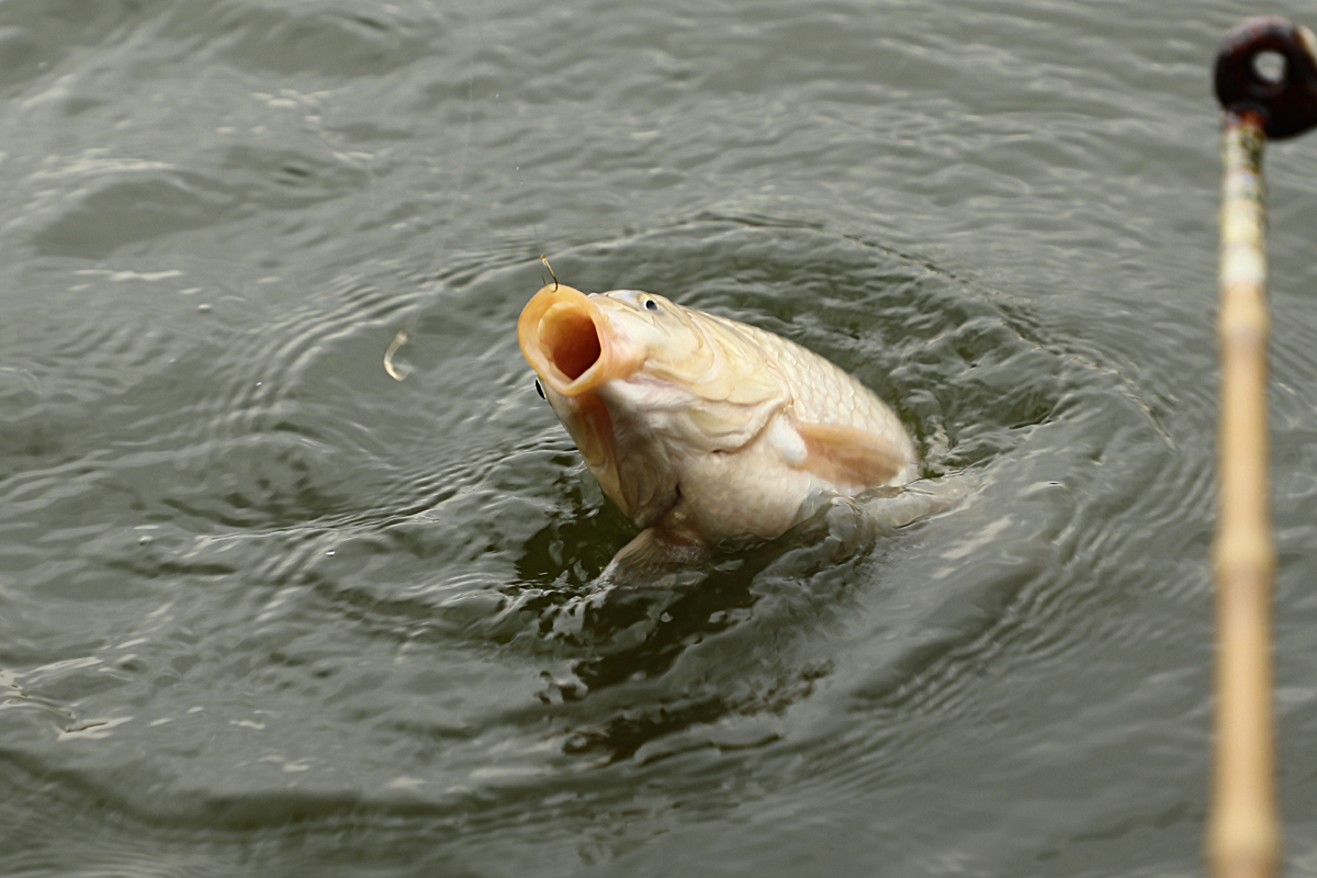 5edeeccde392c52e42e0166a937e0014_1677658210_6001.jpg