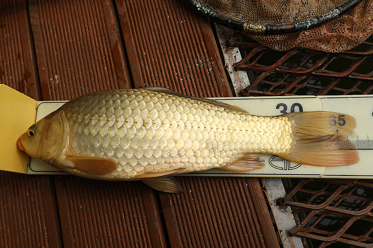 5edeeccde392c52e42e0166a937e0014_1677658224_5676.jpg
