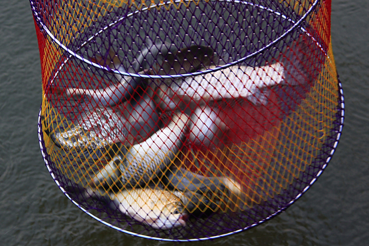 6359a1a58b0cff9a26128c5cd62200e4.jpg