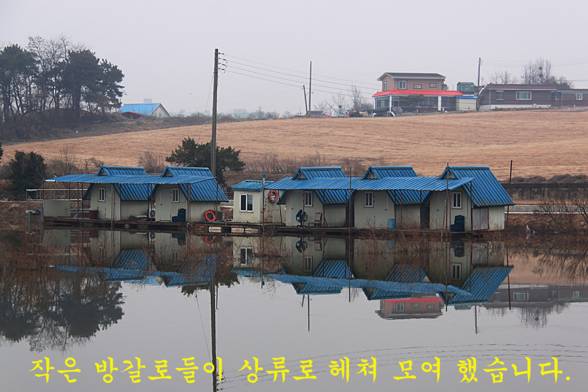706ac14bcde892c91d09530f1d950c89_1646816170_8495.jpg