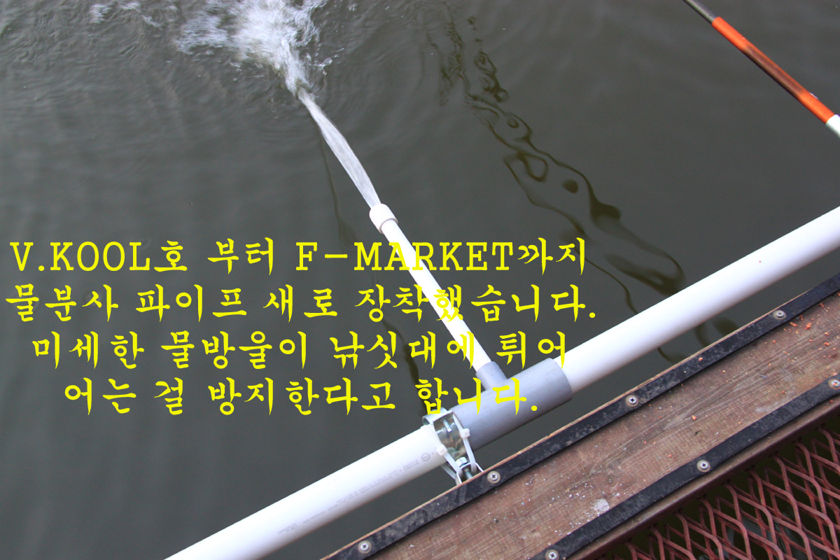 7b810913806a1f31e3aa93da96a2320b_1641710350_3634.jpg