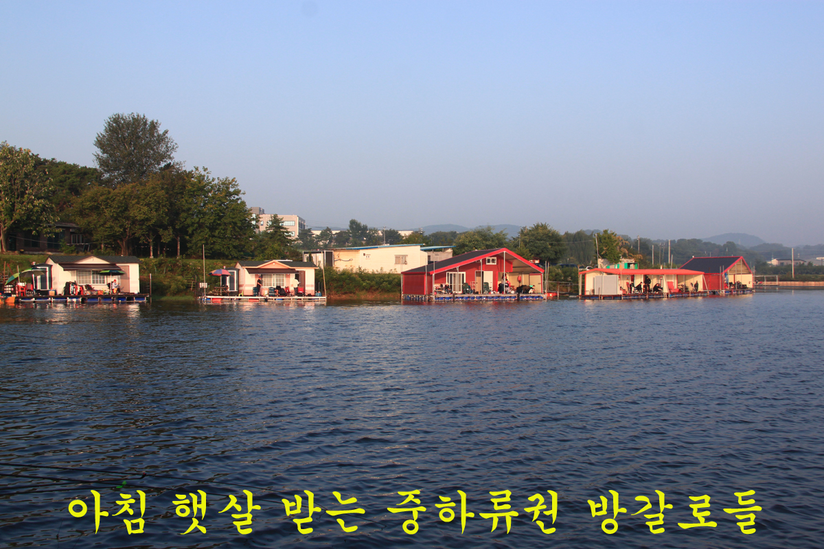 95723d39743ac05fe1448e2ec49ac0fe_1633247919_3288.jpg