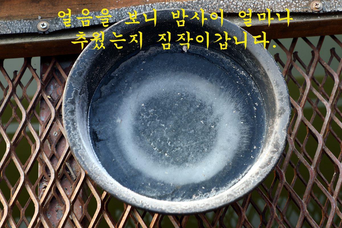 9d37d806ed73725185d8cd92aff6a6fc_1675497684_8128.jpg