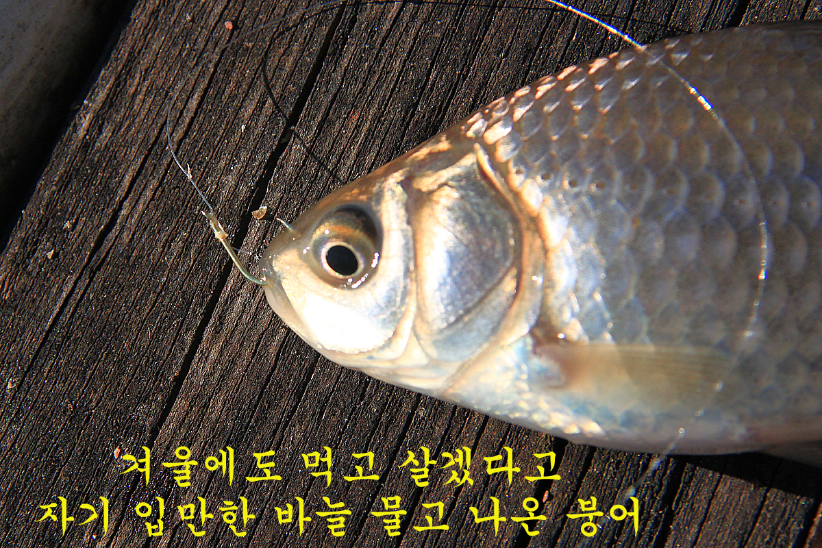 e28af33520f1d9c678a63436319c2c74_1640418197_805.jpg
