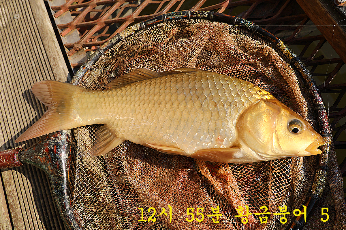 ecd3c3dc81c6f40945994d5afccf36d2_1672303433_0713.jpg
