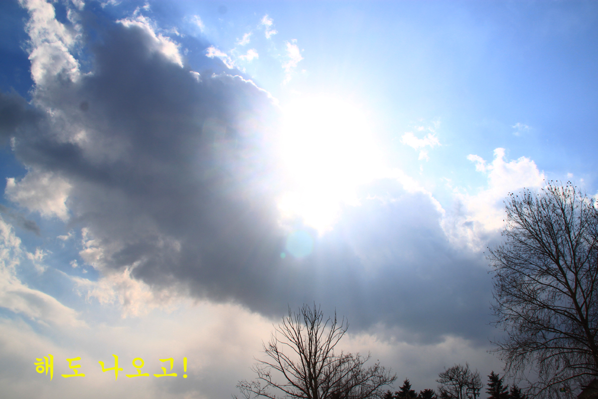 ef09ee30d0ac34f8c9c437f3cd4c6ced_1645439755_9266.jpg