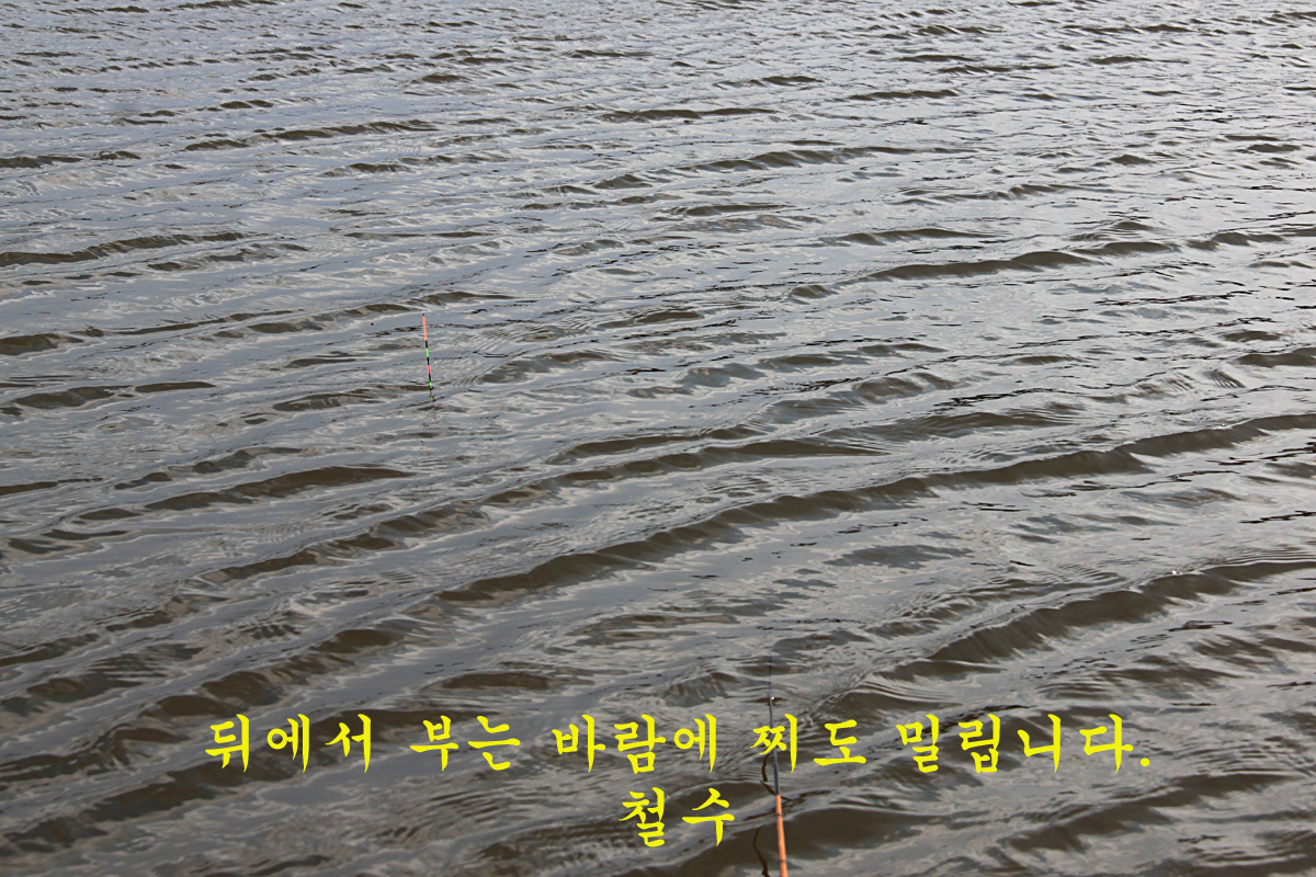 ef09ee30d0ac34f8c9c437f3cd4c6ced_1645439756_3538.jpg