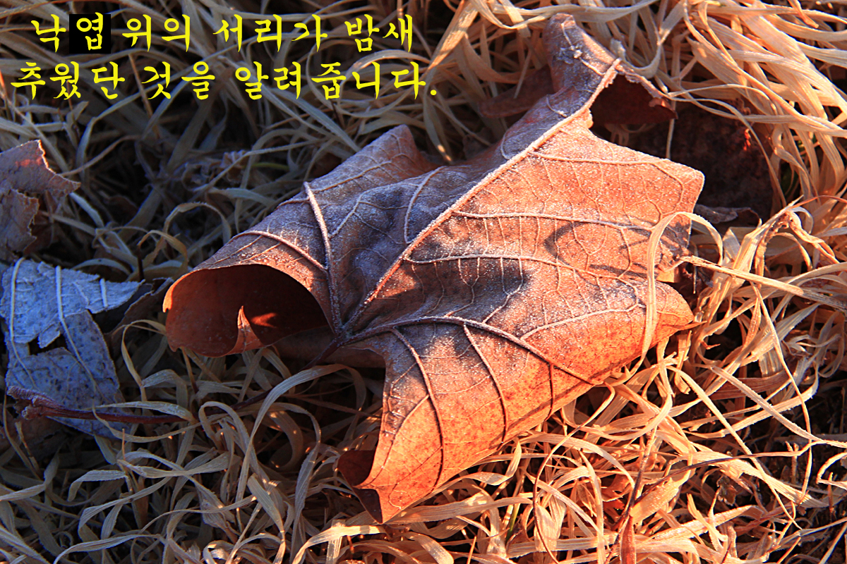 ef09ee30d0ac34f8c9c437f3cd4c6ced_1645952598_5592.jpg