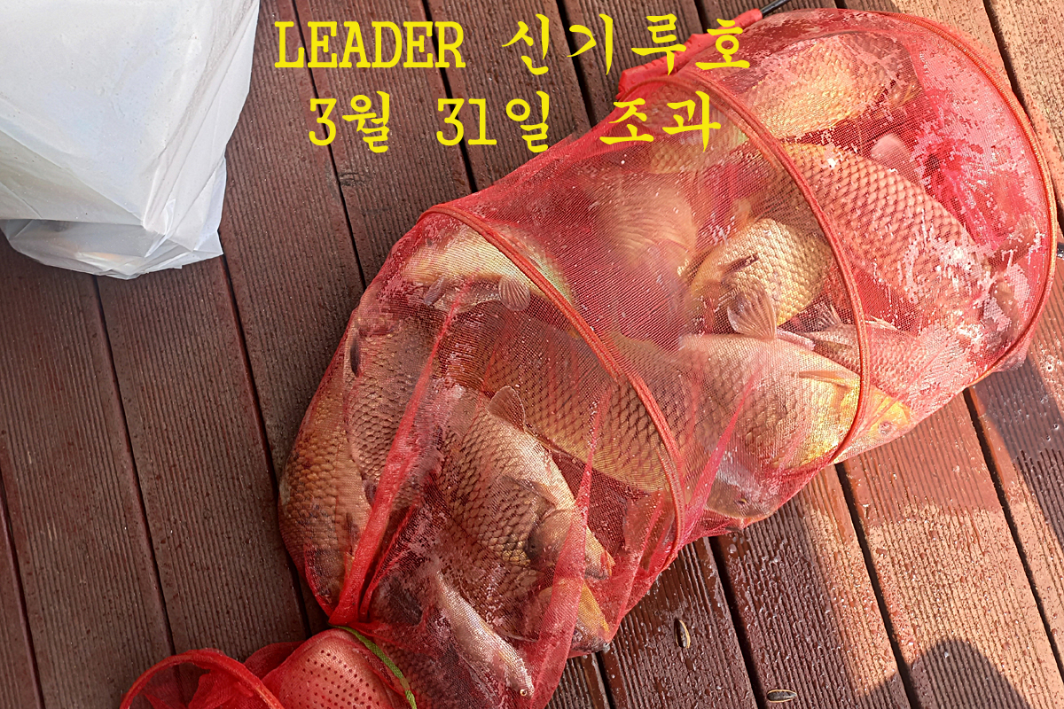 c9d9994db8d63bbc34855658369b5af5_1680417683_9897.jpg