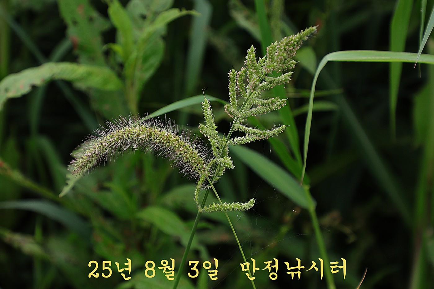 d969dbf4004125f41568df896caf102c_1754204921_388.jpg