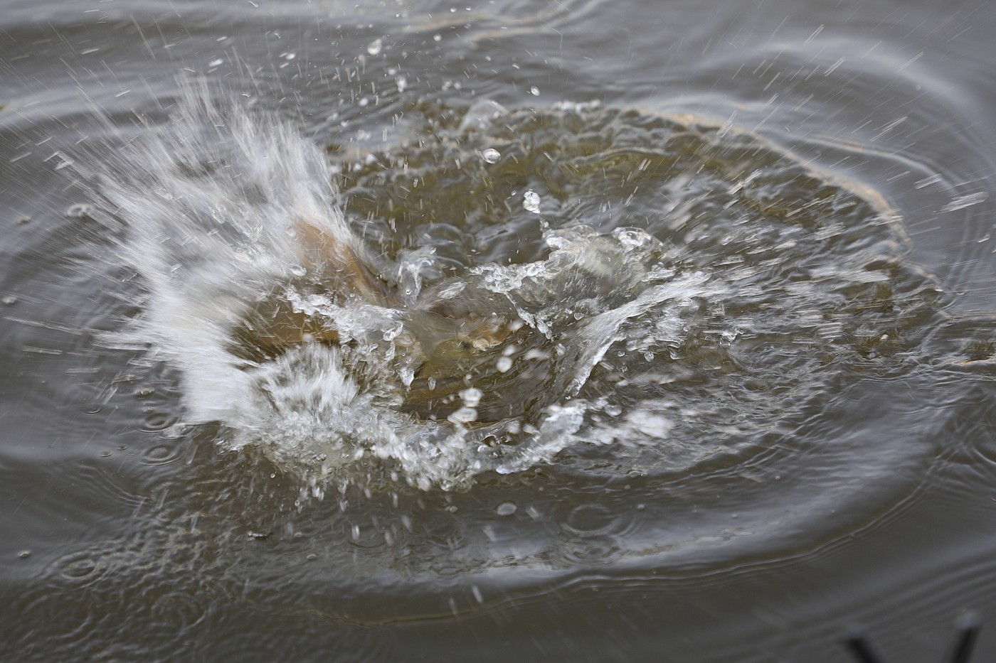 b1da7d7c8cd2d24694e443446af2360e_1777189678_7422.jpg