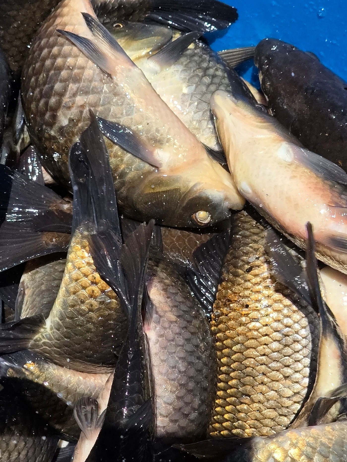 4be1a982cc146965ee90542b620e7b11_1780641401_4399.jpg