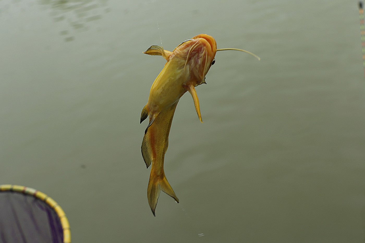 c2e63c68f3c4283767d8e3937ea397d0_1783244800_2079.jpg
